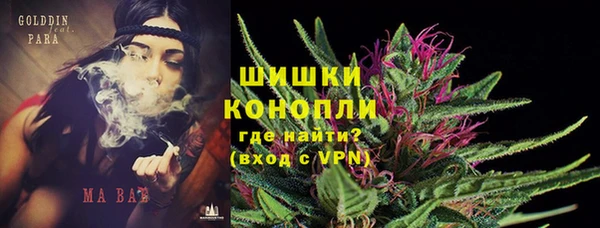 эйфоретик Осинники