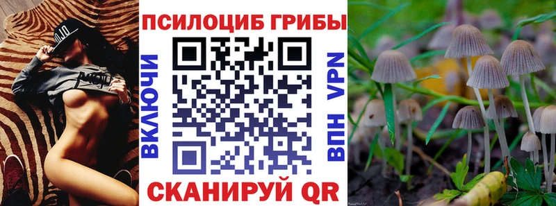 Галлюциногенные грибы мицелий наркошоп кракен Приморско-Ахтарск